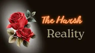 The Harsh Reality of Life #quranicwisdom