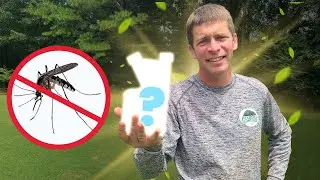 Best Practices for Mosquito Control From a PRO!