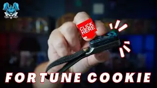 FORTUNE COOKIE FIDGET SLIDER BY ACEdc - REVIEW!