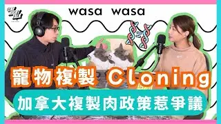 「Cloning - 寵物複製!!」加拿大複製肉政策惹爭議！ 「wasa..wasa..」 ONT (11.25.2025)主持：Emily, Daniel