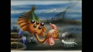cambrian explosion