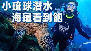 在小琉球潛水，海龜看到飽😍｜水肺潛水｜林宣 Xuan Lin