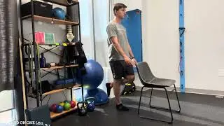 Chair Assisted Single Leg Balance