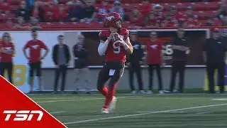 Stamps stage incredible comeback to defeat Lions - CFL WIRED - Week 3