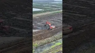Excavator Digging Fish Pond in Farmland