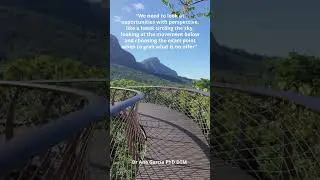 Opportunities and Perspective - Dr Ana's Inspirational Quotes 🌟🌈🌸