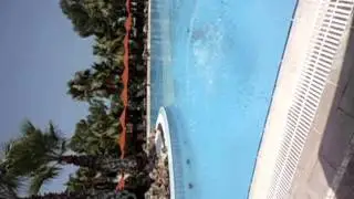 MOV01591