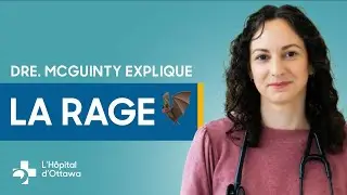 Faut-il s'inquiéter de la rage ? 🦇 Voici ce qu'il faut savoir