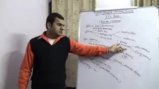Business Valuation - EPS Multiple