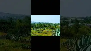 My beautiful village.#shortvideo