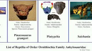 List of Reptilia of Order Ornithischia Family Ankylosauridae Ankylosaurus Pinacosaurus Jinyunpelta
