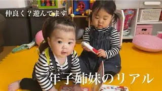 仲良く遊ぶゆねここを観察【2021年2月】