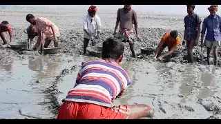 Best Catching Catch Fish- Traditional Catch Fishing - Hand Catch By Catch Fish- Us Fishing