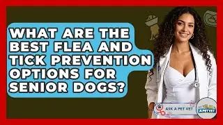 What Are The Best Flea And Tick Prevention Options For Senior Dogs? - Ask A Pet Vet