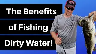 Muddy Water Bass Fishing Benefits| Locating Bass in Muddy Water
