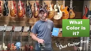 1964 Gibson 345 Limited Edition Surf Green vs Frost Blue! Only 25 of each EVER made!