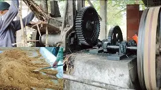 Muscovado Sugar Production