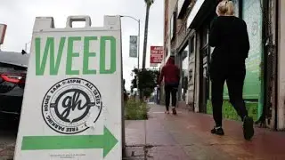 WHO Formally Recognizes Cannabis Vomiting Syndrome as Cases Surge Nationwide