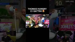 Thomas Hungry non sembra molto d&rsquo;accordo #blur #marza #pesh #Thomashungry #gattini