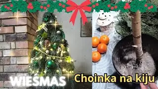 CHOINKA NA KIJU DIY, KOLEJNE ZAKUPY ŚWIĄTECZNE.🙂Dino Topaz