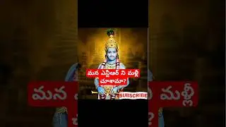 HBD NTR #shorts #shortsfeed #new #viralvideo #trending #ai