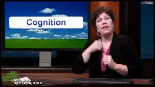 Perspective Taking - Cognition Skills