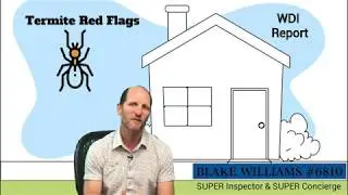 Wood Destroying Insect Inspection Overview - Termite Inspection with Blake Williams #homeinspection