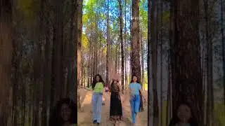 netarhat #arrahman #lovenetarhat#natrelover#peace 🍀☘️🌿🌴🌳🌲