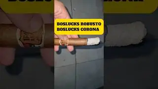Inikah Cerutu Terbaik Untuk Pemula ??
