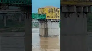 Chambal river #chambalriver #chambal #chambalriverfrontkota #chambalrivervlog #chambalreels