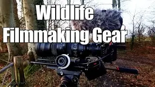 Wildlife Filmmaking Gear: Nikon Z6 III, Sigma 150-600, Rode Video Mic Pro & More!