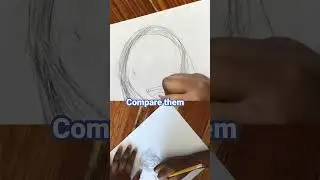 Let's compare drawings #compare #comparedrawings #shorts
