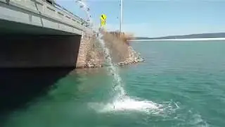 Stocking Lake Trout - Glen Lake, Michigan