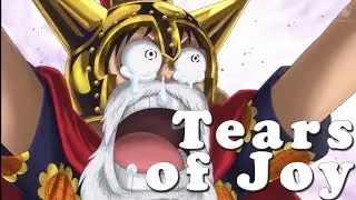 One Piece Episode 663 Review Brothers Reunion
