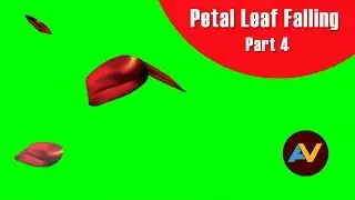 rose petal falling animation | Animation Video | Free Footage