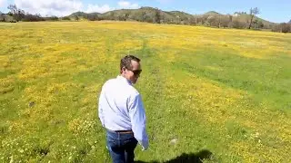 Take a walk among the wildflowers of Shell Creek Road