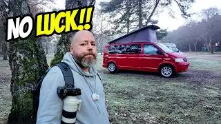 We Came to Sandringham for Wild Deer… This Was Plan B | Vanlife UK