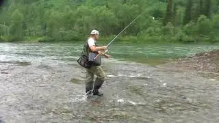 На берегах Усы