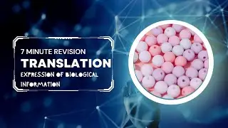 TRANSLATION (expression of biological information)