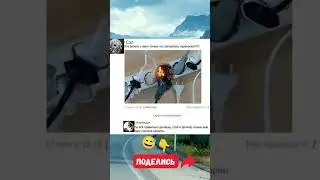🤔🤔🤔 #шуточное #юмор #прикол #haha #мем #смешно #смех