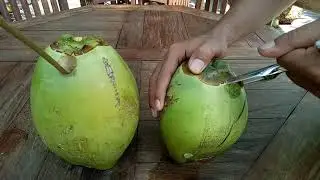 coconut opener