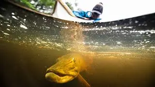 The North Woods - Go Further with a Boulder