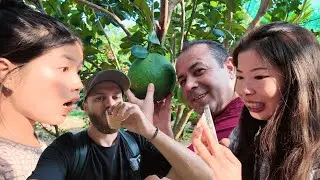 Emekli Gezginle CHU CHİ TÜNELİ ve MEKONG DELTASI ! - Başımıza Neler Geldi? 🇻🇳 ​⁠@MujdatAKBIYIK