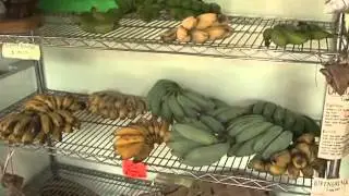 What is value-added food production?