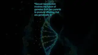 Chapter 1 in a Nutshell: Introduction to Biology for Class 12