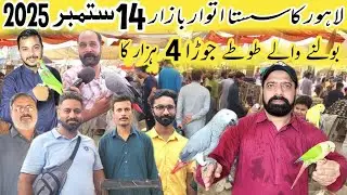 Lahore sunday birds market 2025 | birds market 