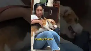 #pets #dog #love #bonding  #funny #god  #blessed #viral #trending #funny #explore #reels #petlover