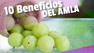 10 Incre&iacute;bles Beneficios Para La Salud Del Amla o Grosella Espinosa India