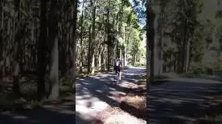 Sunday Ride on a Specialized Aethos Pro in Izu, JAPAN