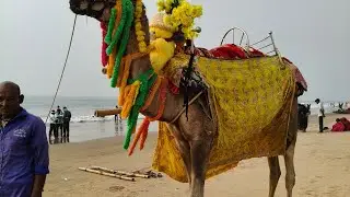 Puri Sea Beach Morning Walk | Best Beach in Odisha☀️Explore Puri Beach Jagannath Puri Tourist Places